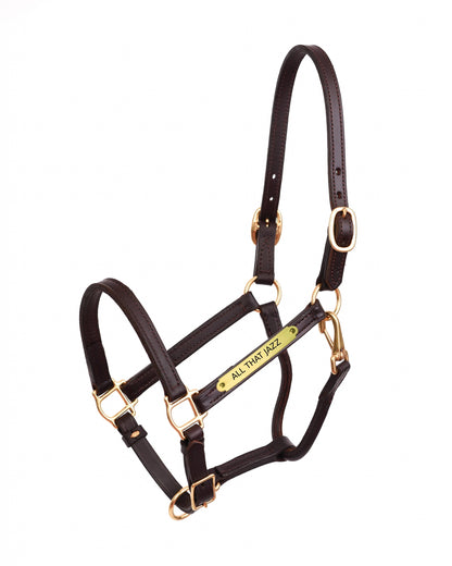 Perri's Personalized 3/4" Premium Show Halter
