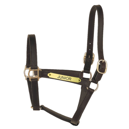 Perri's Personalized 1" Track Syle Turnout Halter