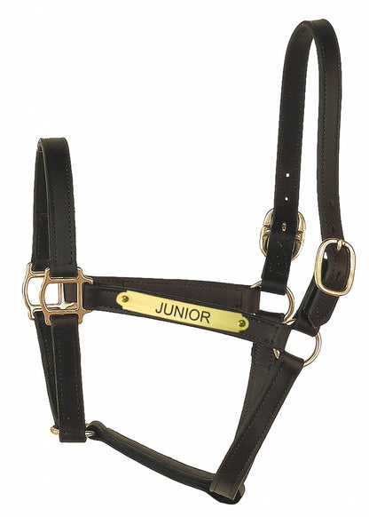 Perri's Personalized 1" Track Syle Turnout Halter