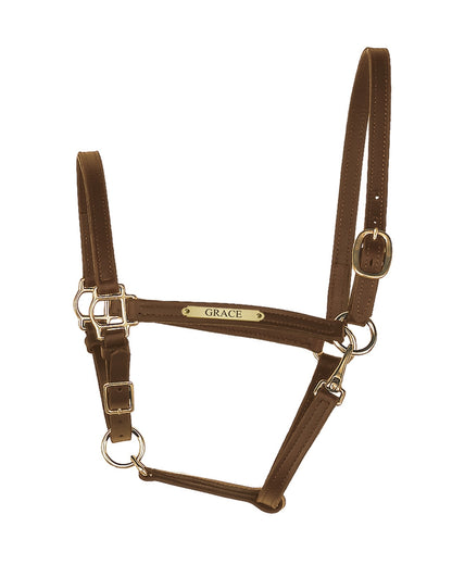 Perri's Personalized 3/4" Leather Turnout Halter
