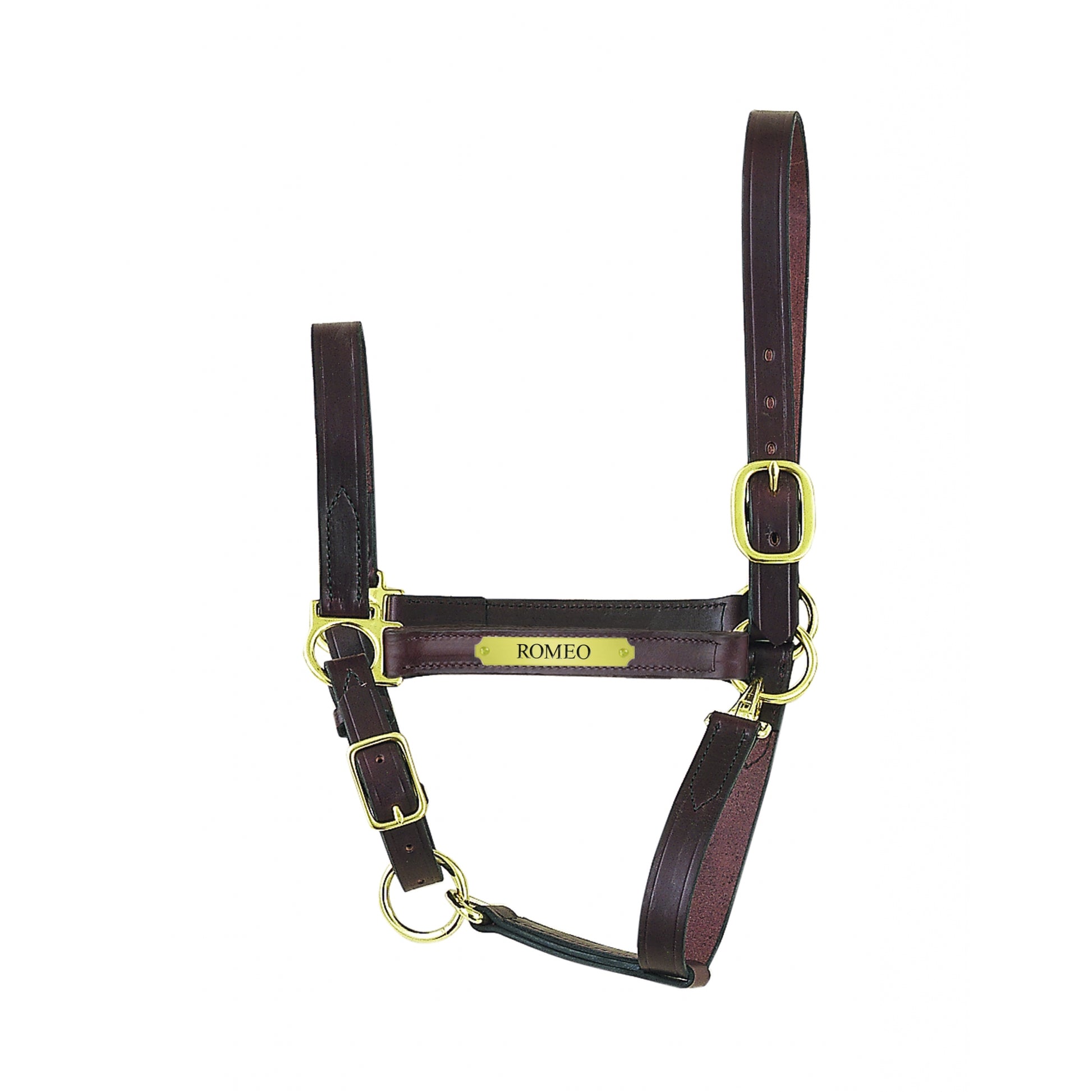 Perri's Personalized Economy Leather Halter