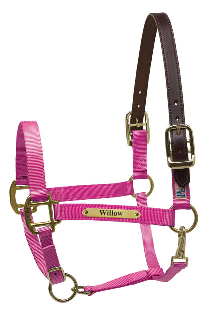 Perri's Personalized Premium Nylon Safety Halter