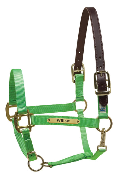 Perri's Personalized Premium Nylon Safety Halter