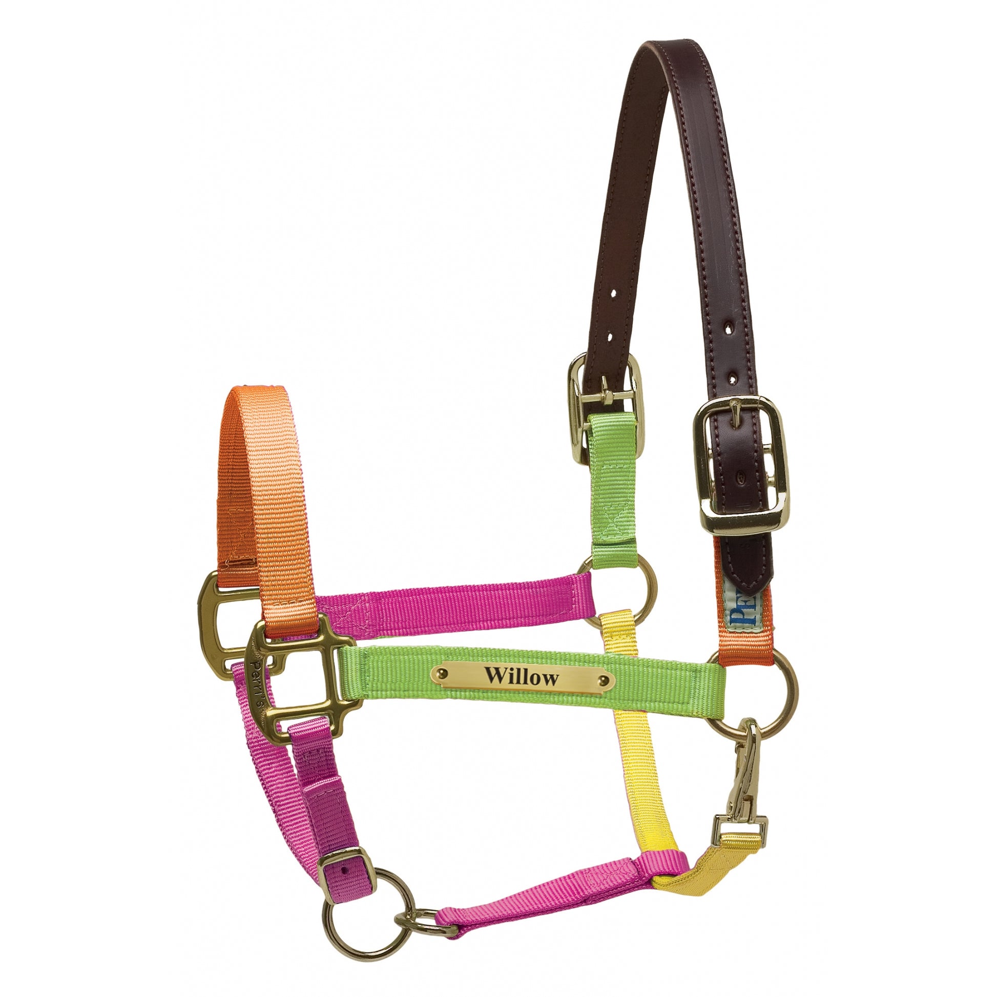Perri's Personalized Premium Nylon Safety Halter