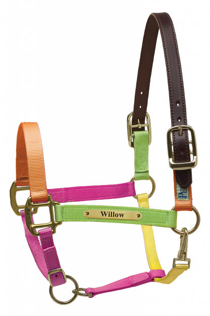 Perri's Personalized Premium Nylon Safety Halter