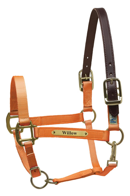 Perri's Personalized Premium Nylon Safety Halter