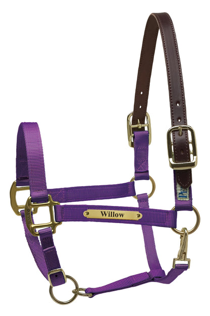 Perri's Personalized Premium Nylon Safety Halter