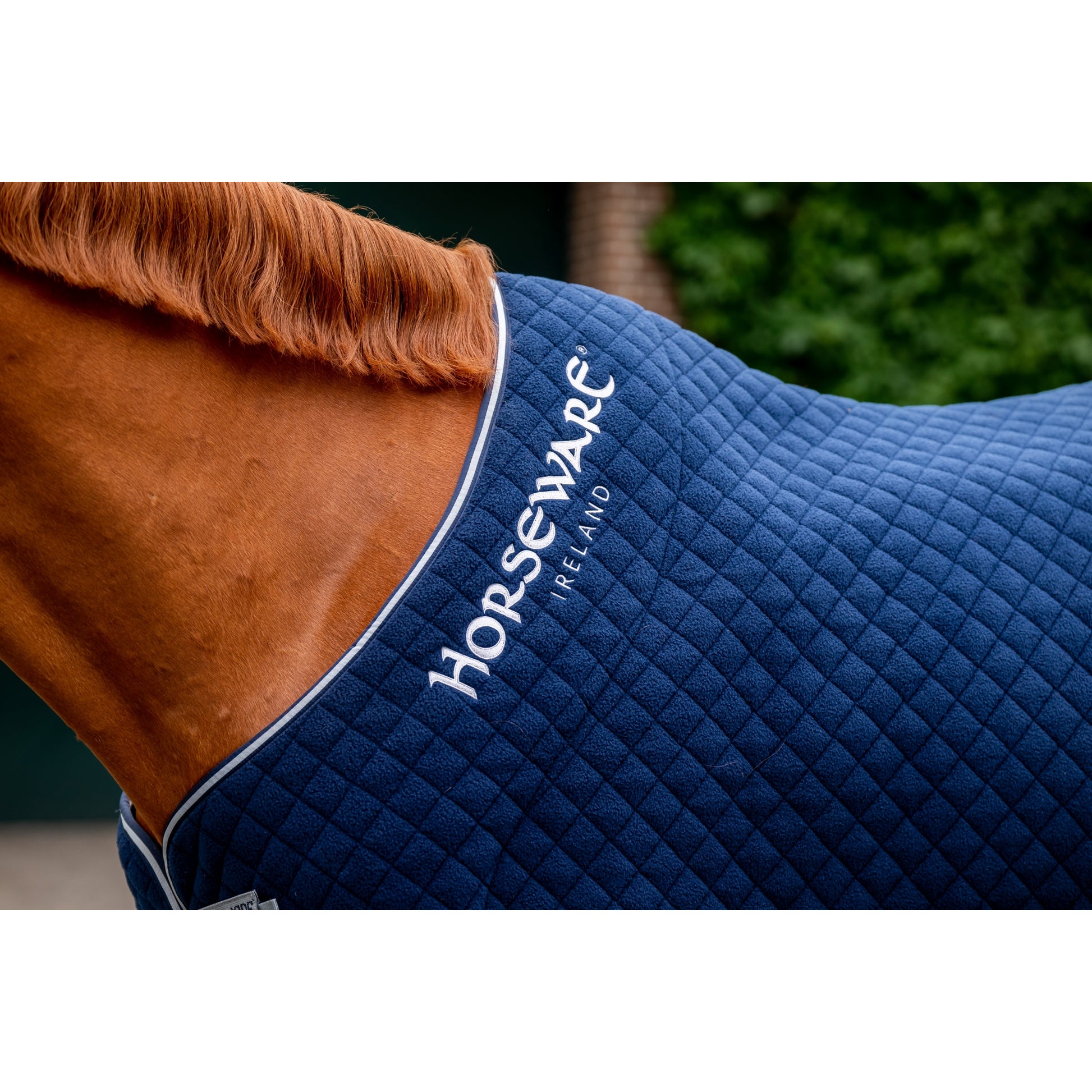 Horseware Thermal Cooler