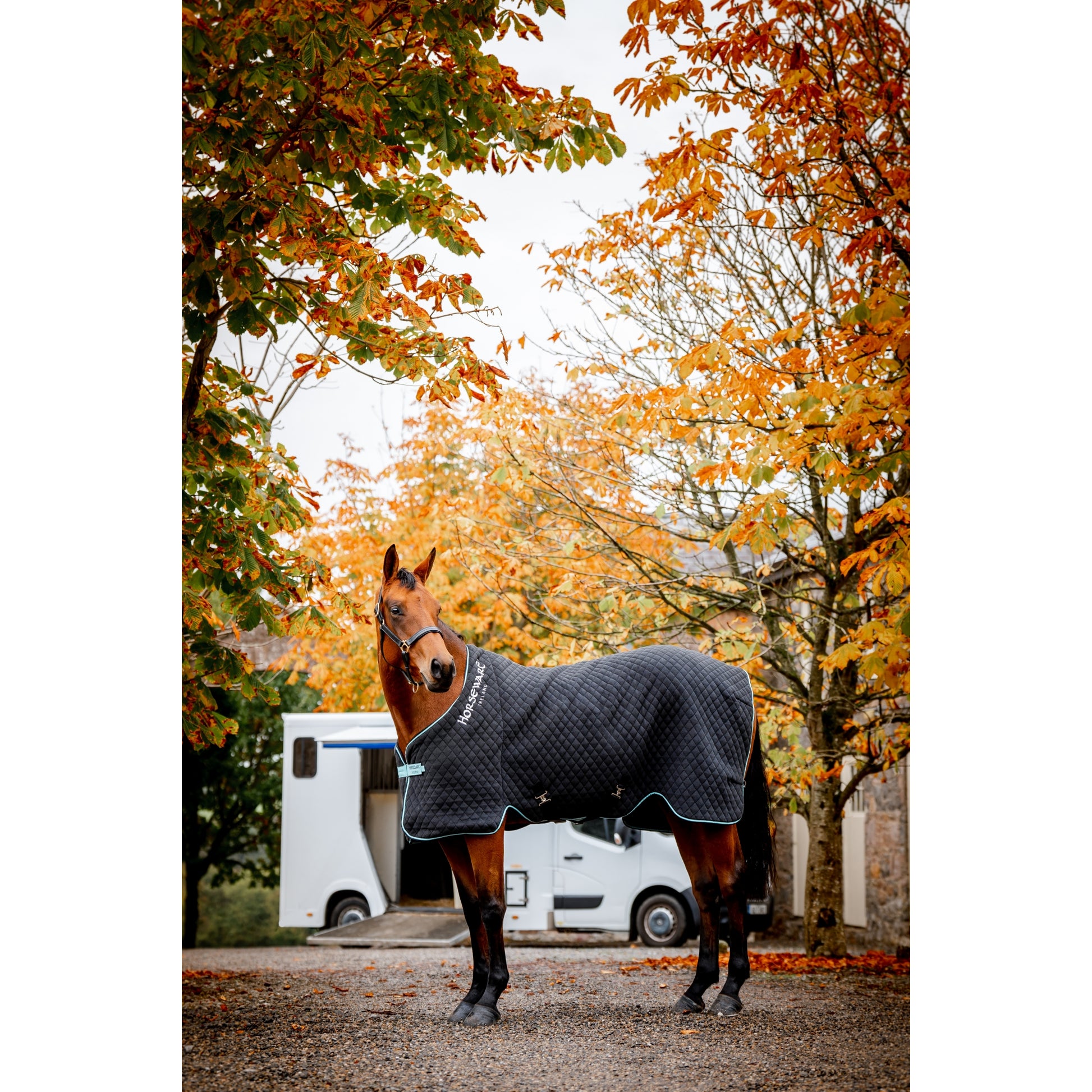 Horseware Thermal Cooler