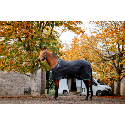 Horseware Thermal Cooler