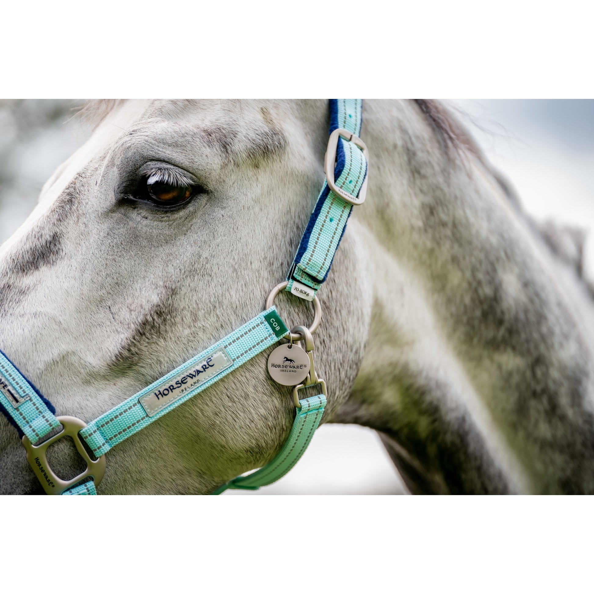Horseware Fieldsafe Halter