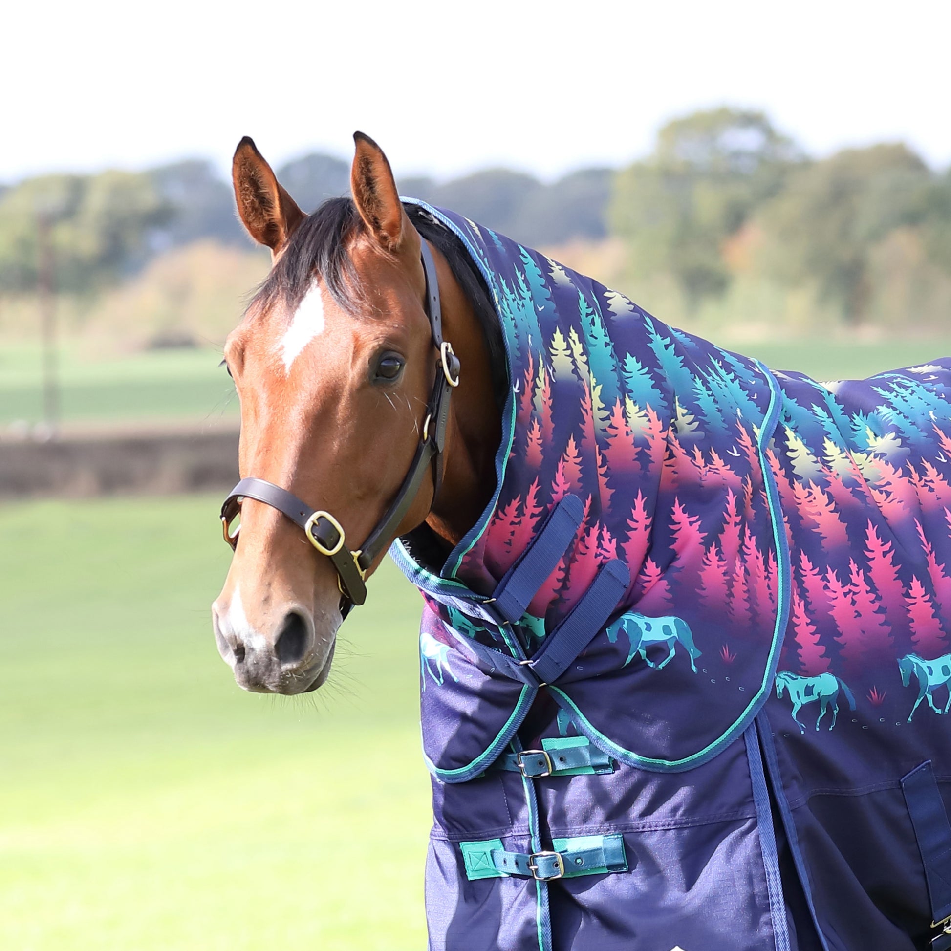 Shires Tempest Org 200g Hood