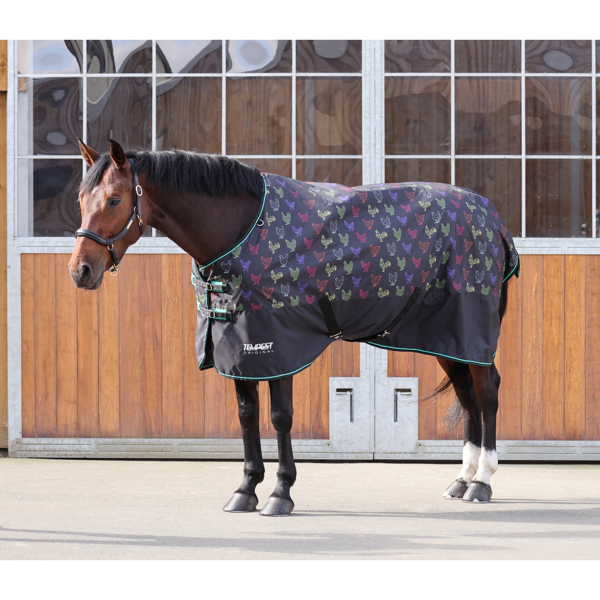 Shires Tempest Original Lite TO