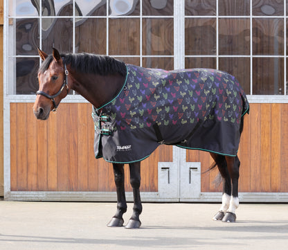 Shires Tempest Original Lite TO