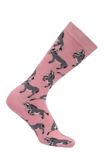 AWST Int'l Playful Donkeys Socks