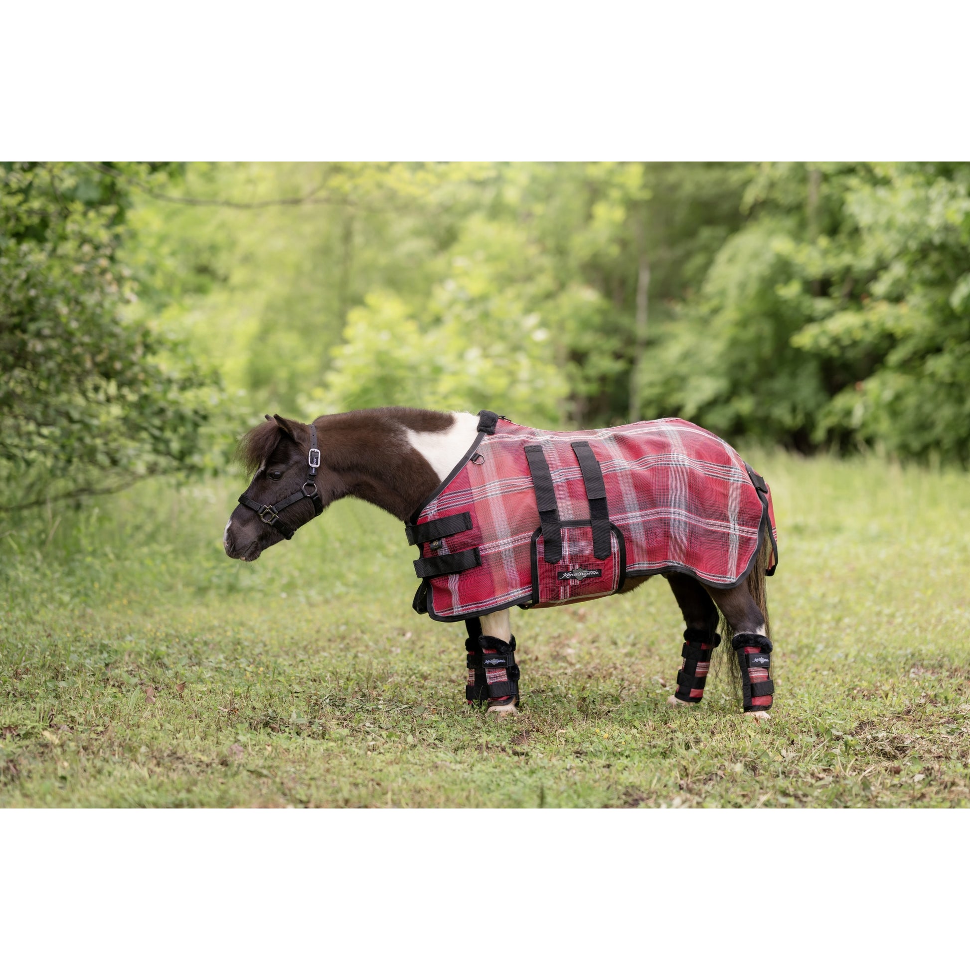Kensington Protective Sheet Mini