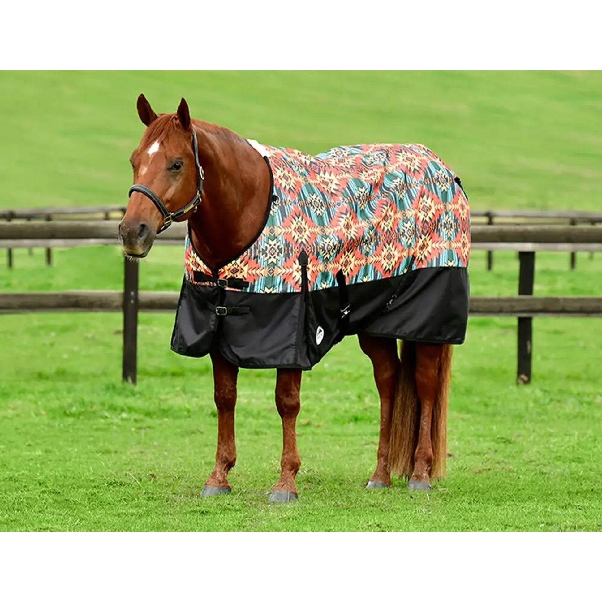 Weatherbeeta ComFiTec Essential Standard Neck Lite Tunrout