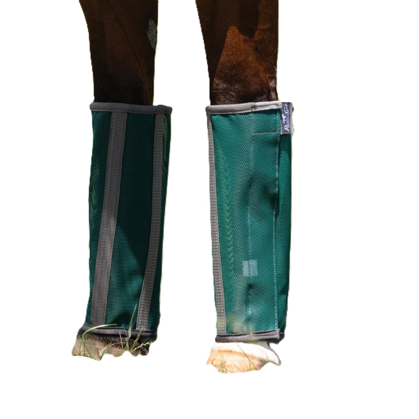 4-442103-01.jpg