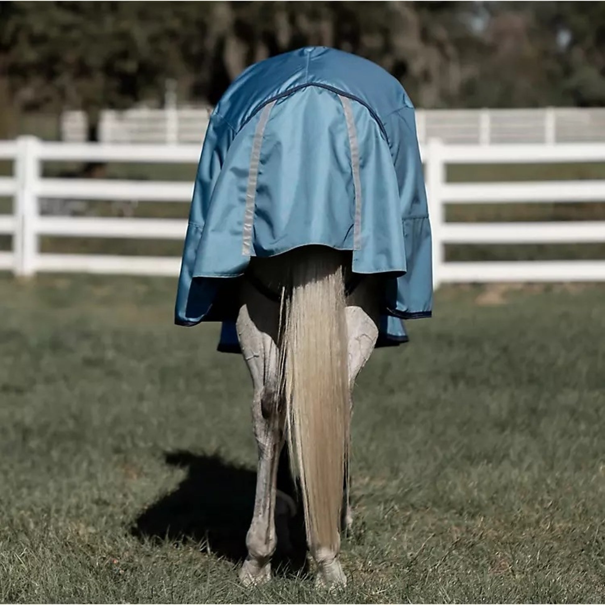Equinavia Thunder 360 DAN TO 300g