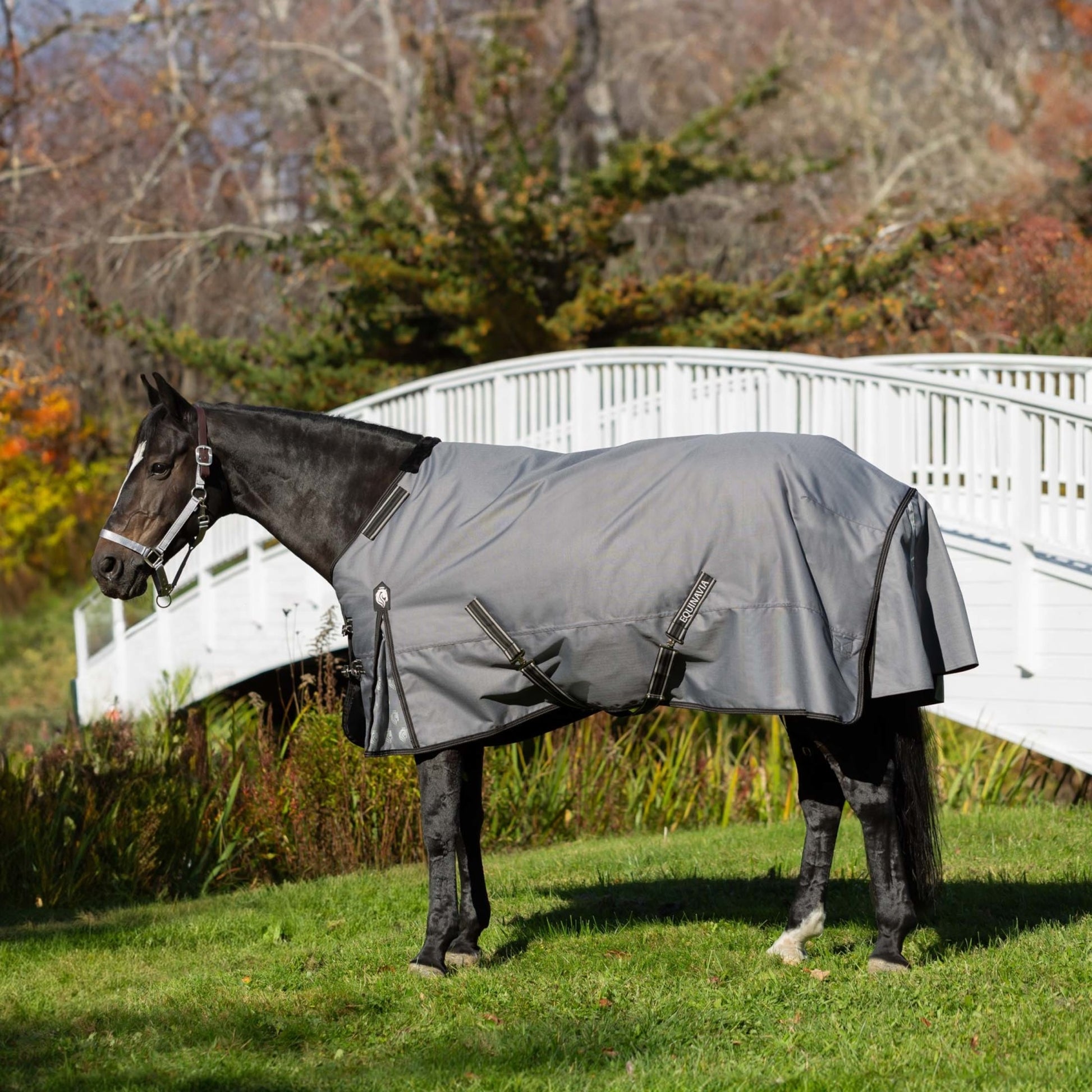 Equinavia Arktis Regular Neck Turnout Sheet
