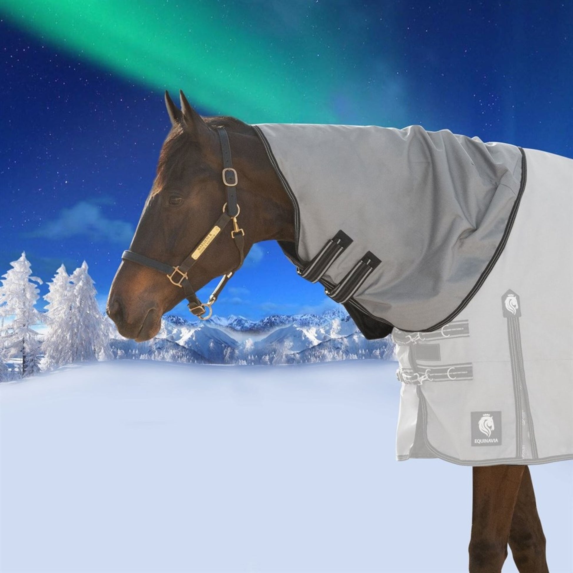 Equinavia Arktis Neck Cover 200g