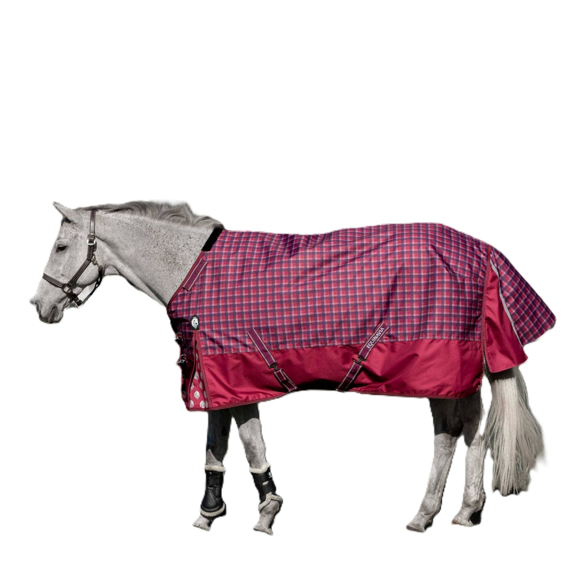 Equinavia Arktis Turnout Blanket 300g