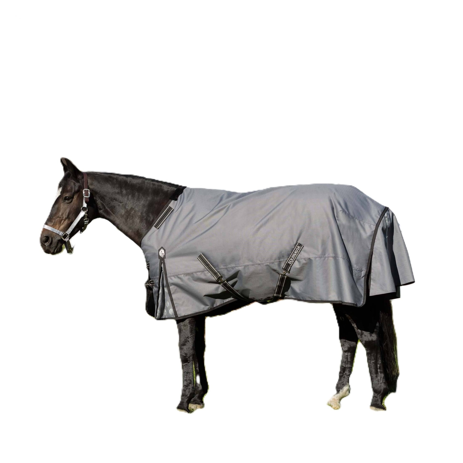 Equinavia Arktis Turnout Blanket 300g