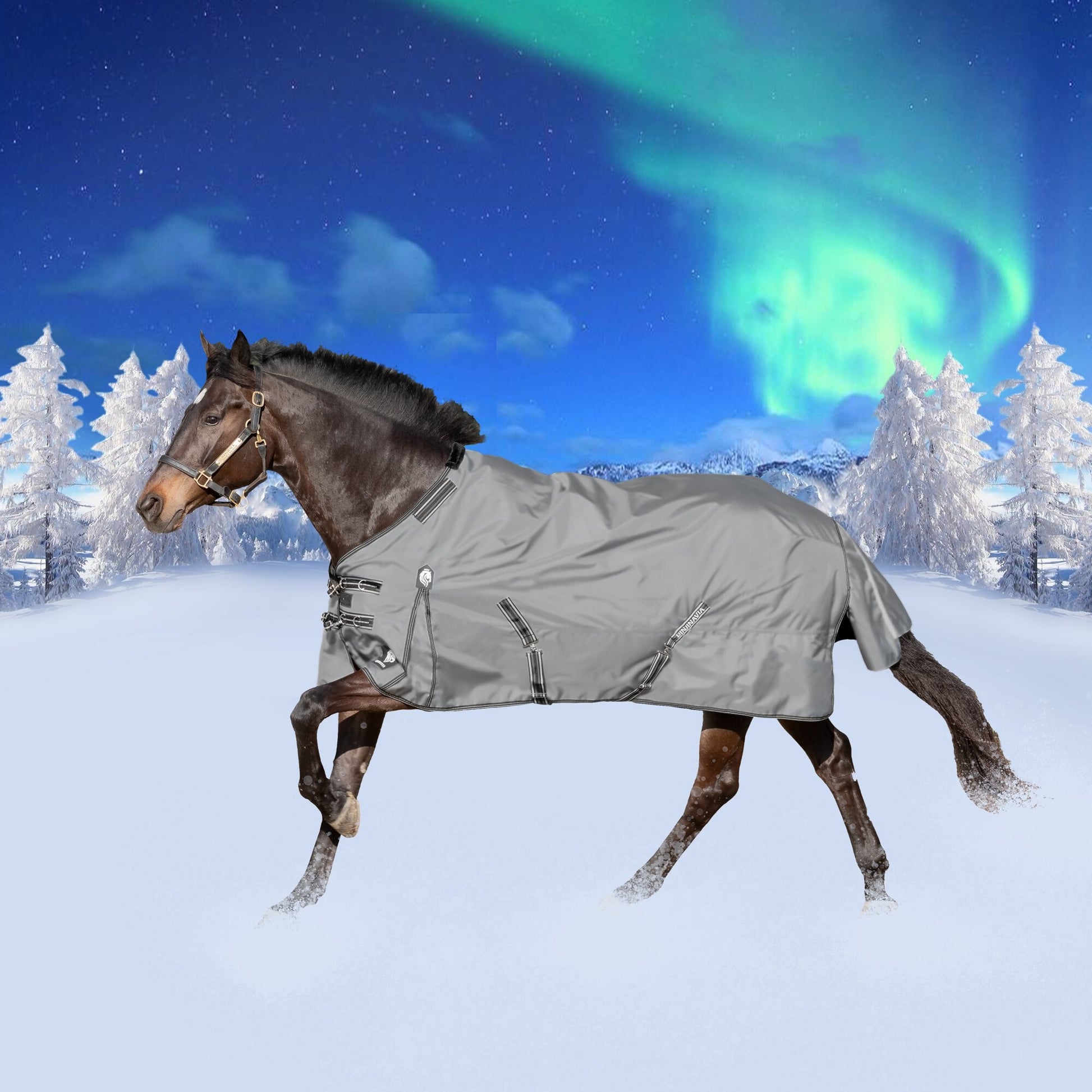 Equinavia Arktis Turnout Blanket 300g