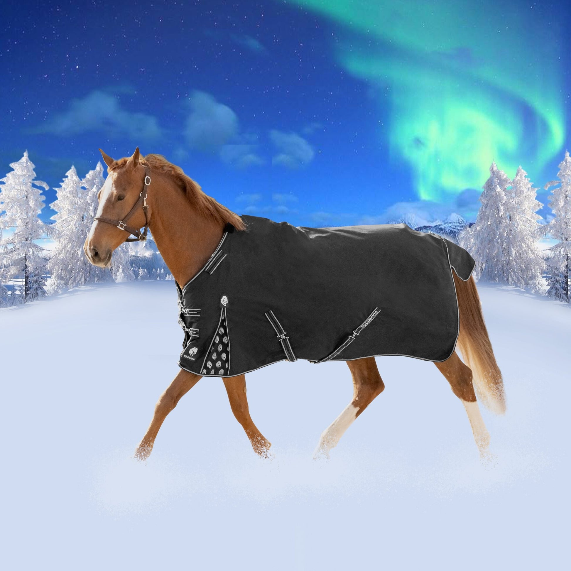 Equinavia Norse Heavy Weight TO 300g