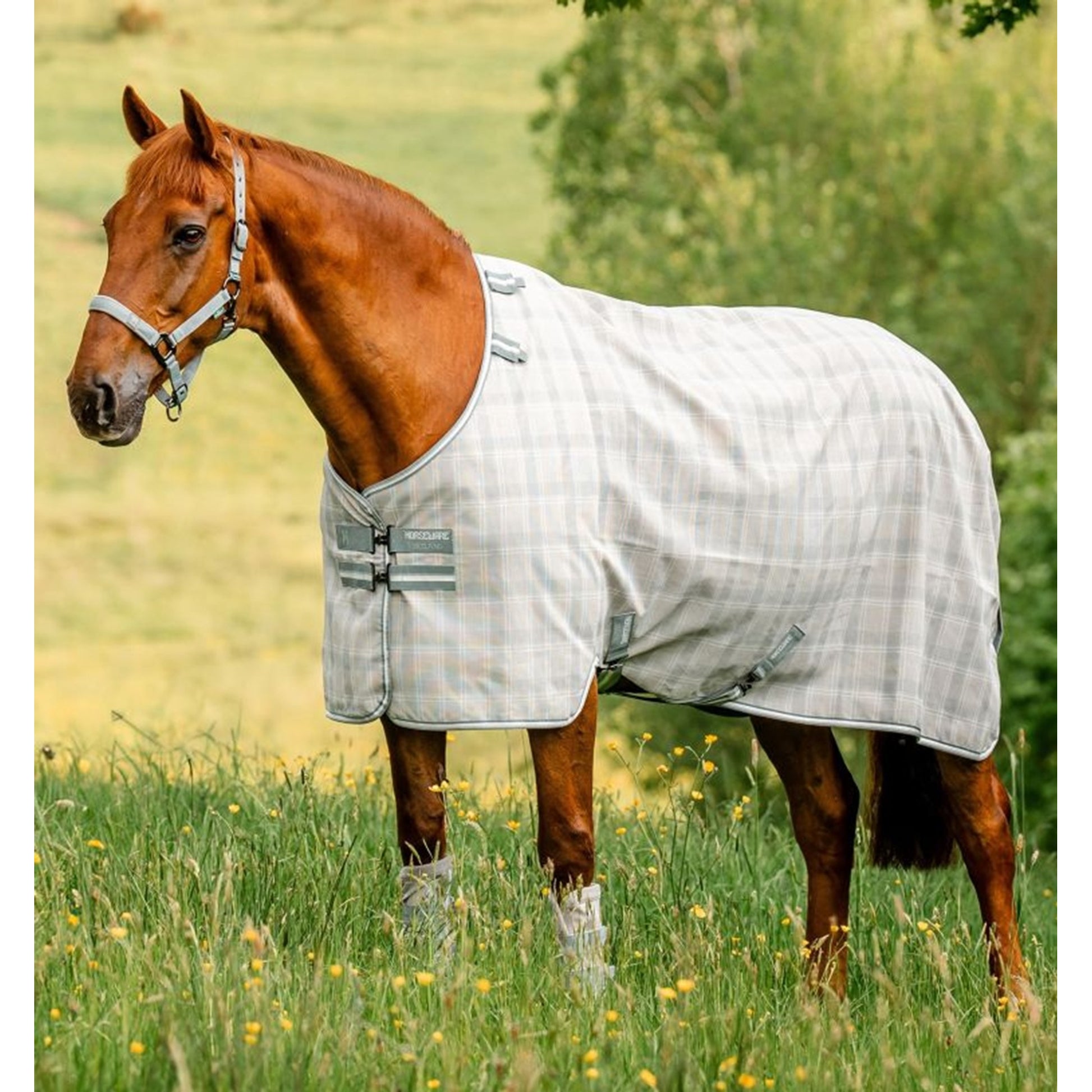 Horseware Newmarket Fly Sheet
