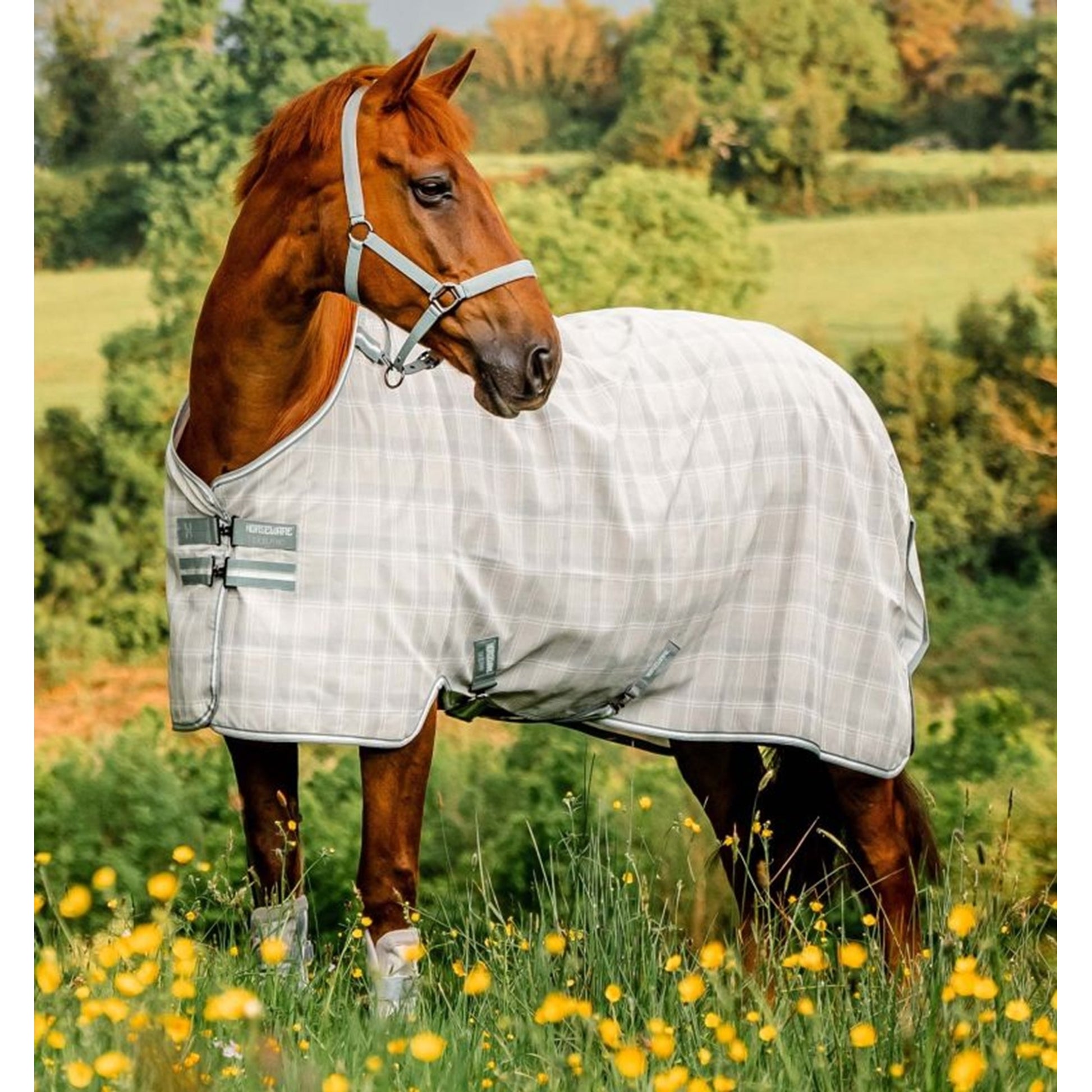 Horseware Newmarket Fly Sheet