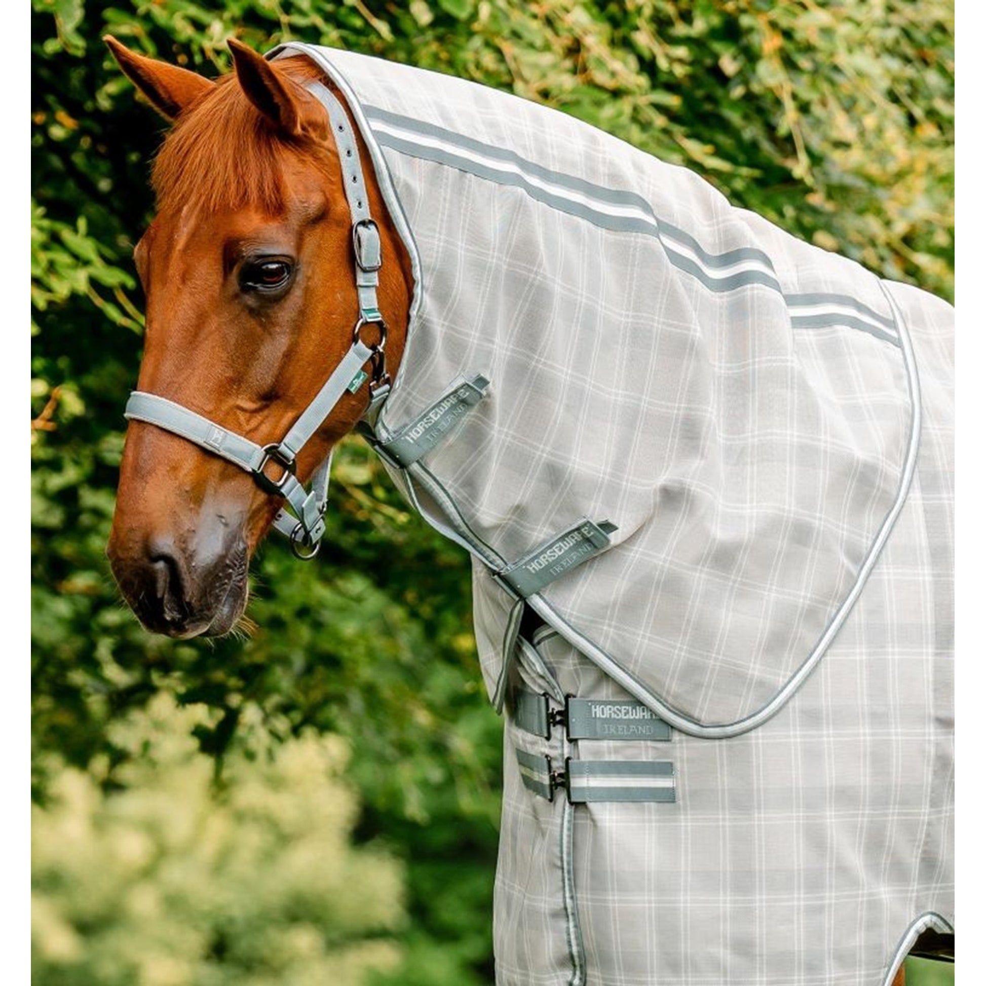 Horseware Newmarket Fly Hood