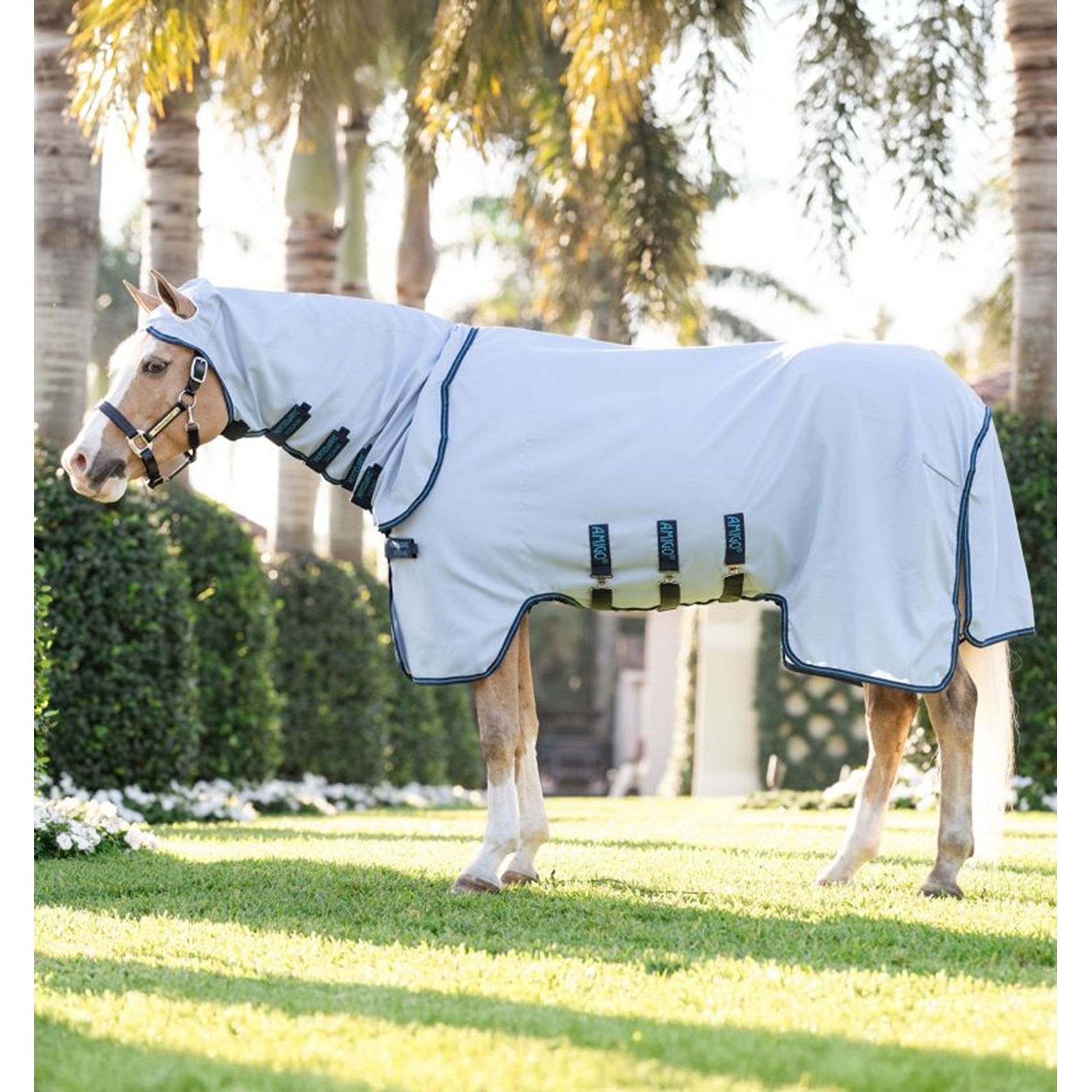 Amigo Ripstop Pony Hoody