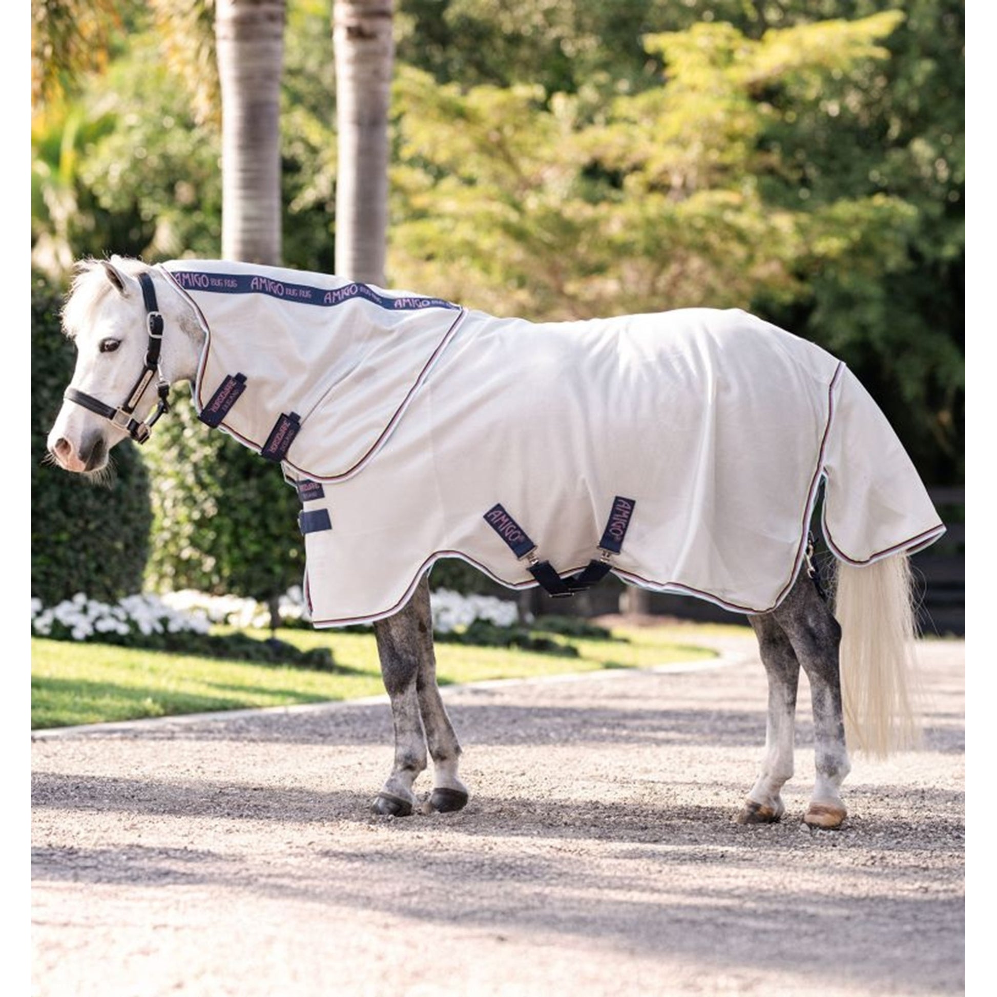 Amigo Bug Rug Plus Pony Sheet