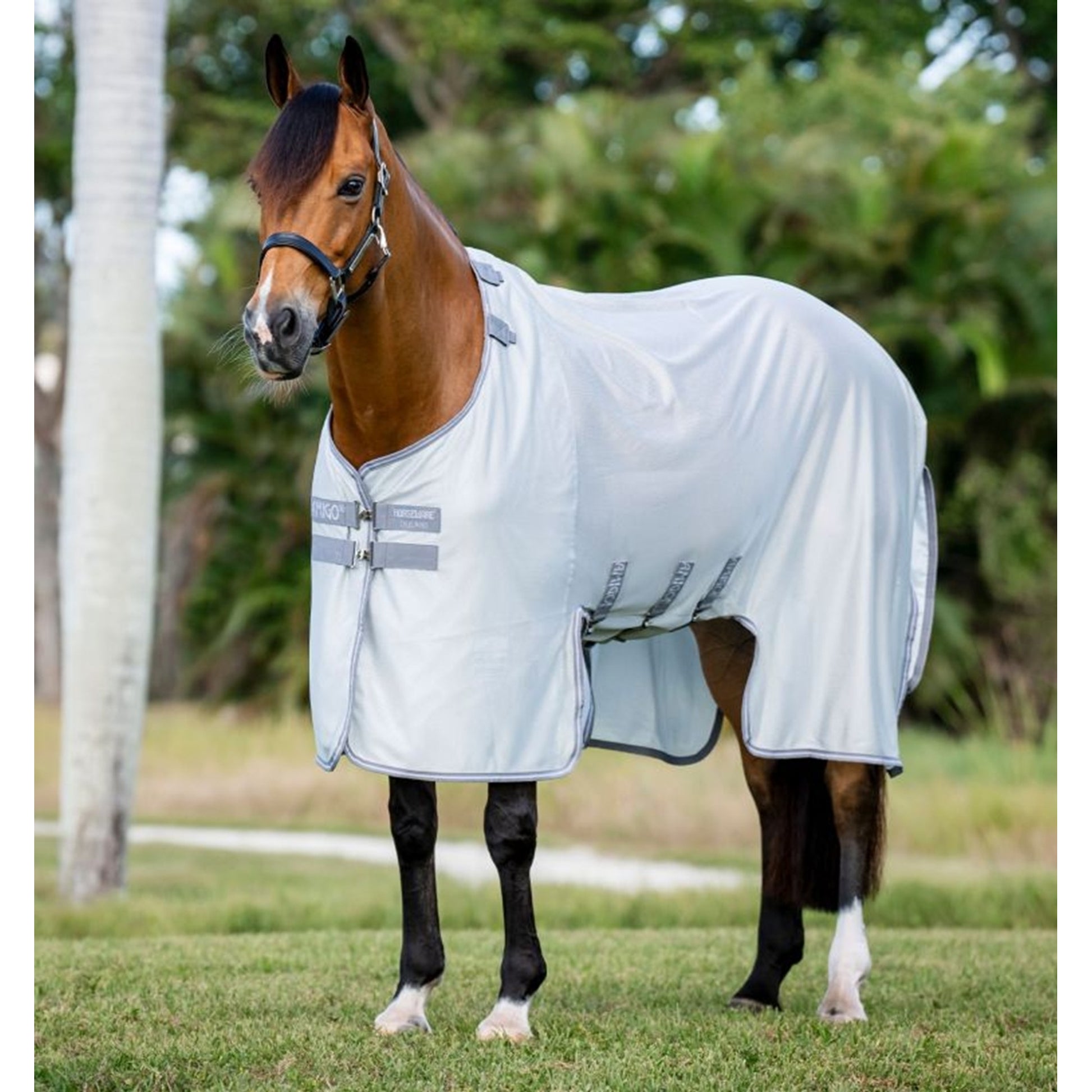 Amigo Bug Buster Fly Sheet