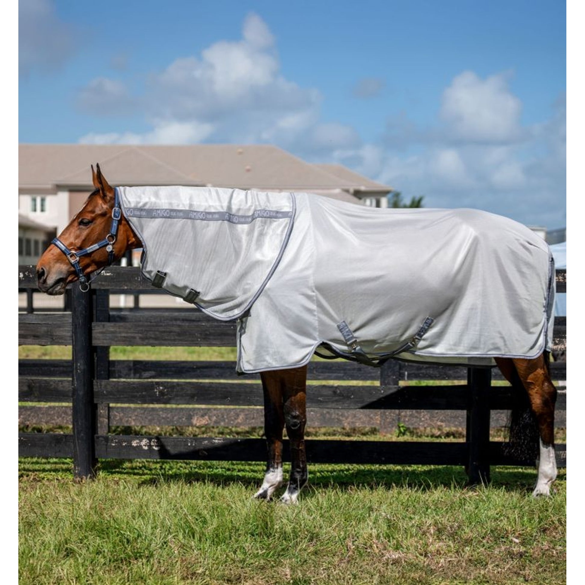 Amigo Bug Rug XL Plus Fly Sheet