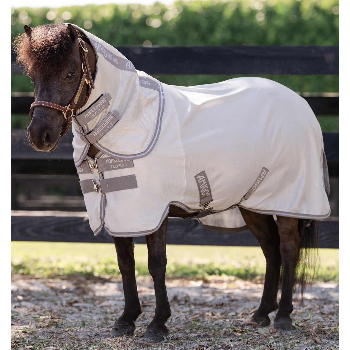 4-444379-2.jpg