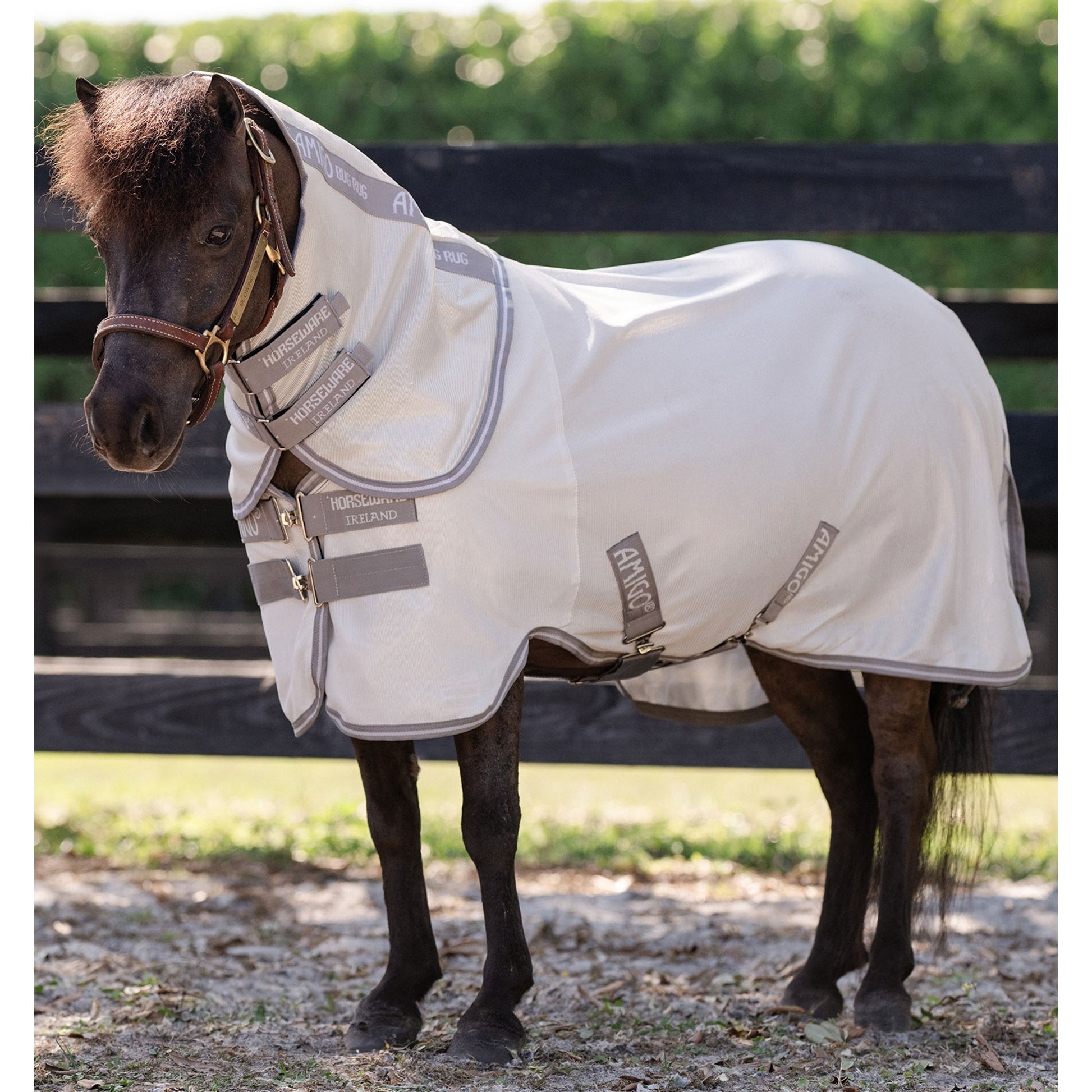 Amigo Bug Rug Plus Petite Fly Sheet