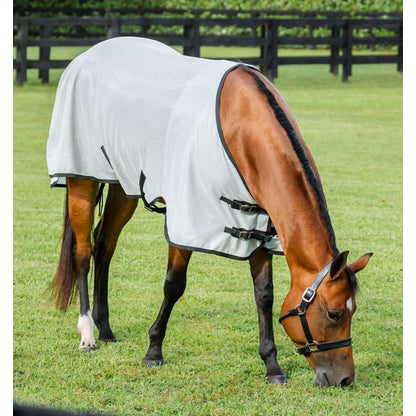 Amigo Bug Rug Stock Horse Fly Sheet