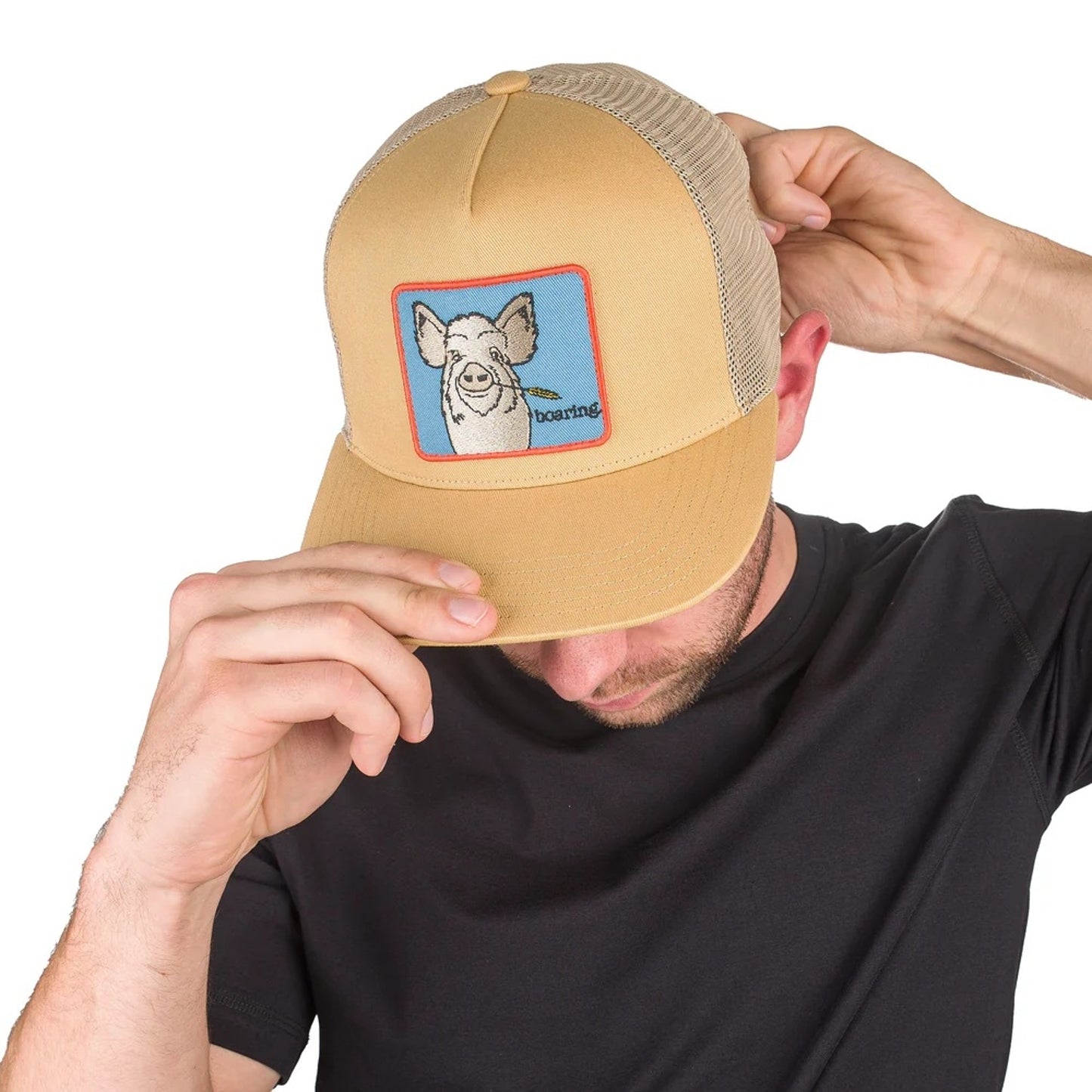 4-452769.jpg