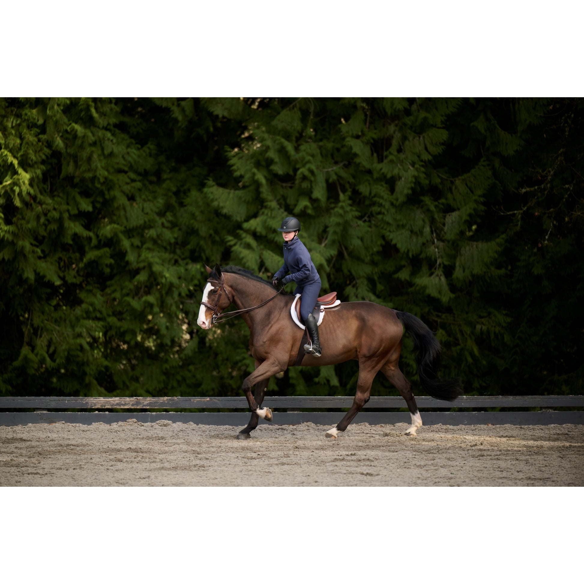 Kerrits Fusion Full Leg Clinic Tight