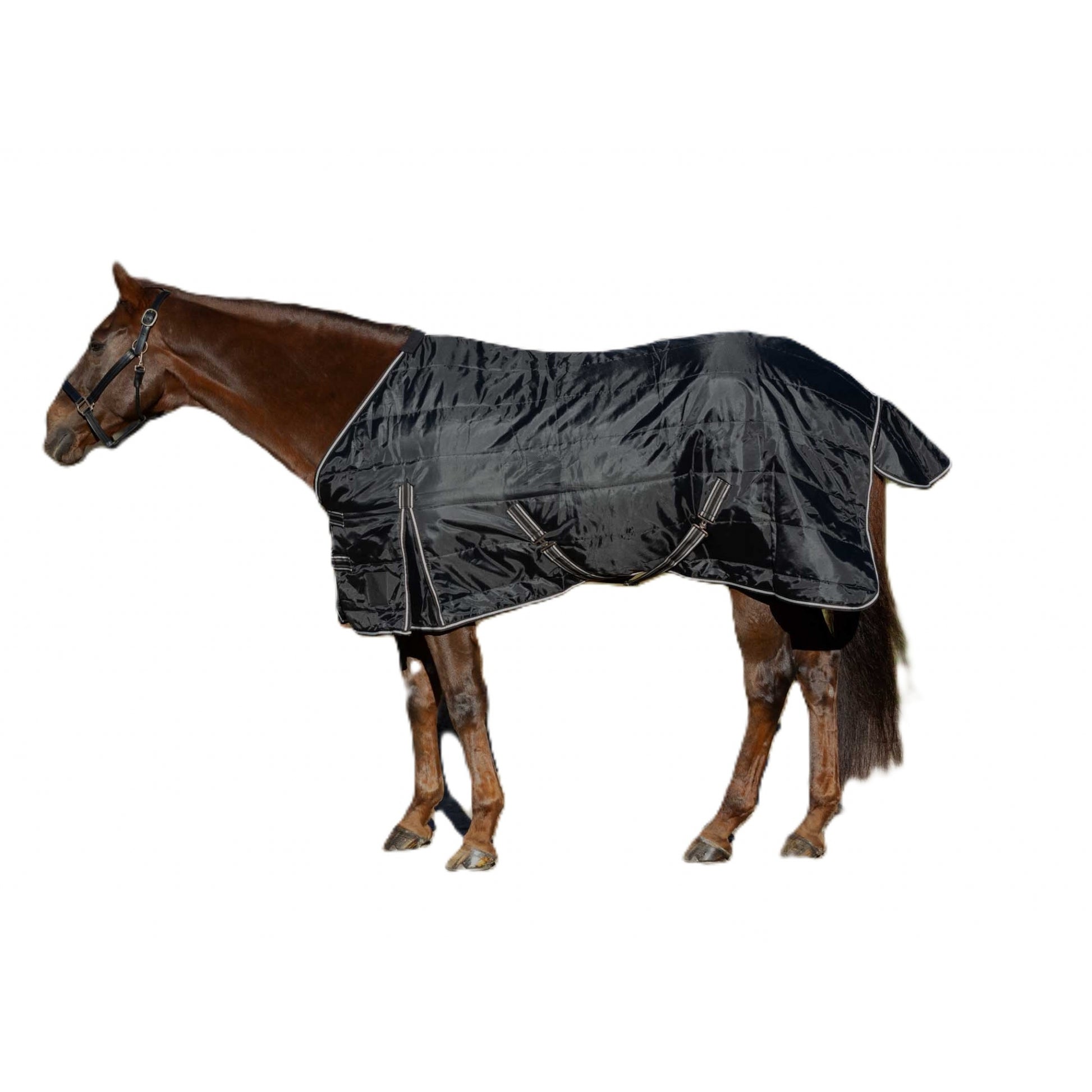 Equinavia Norse Gus Stable Blanket 100g
