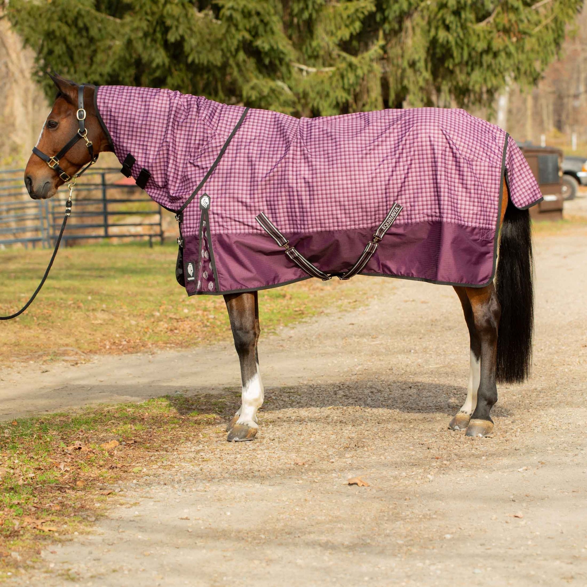 Equinavia Norse Neck Cover - No Fill