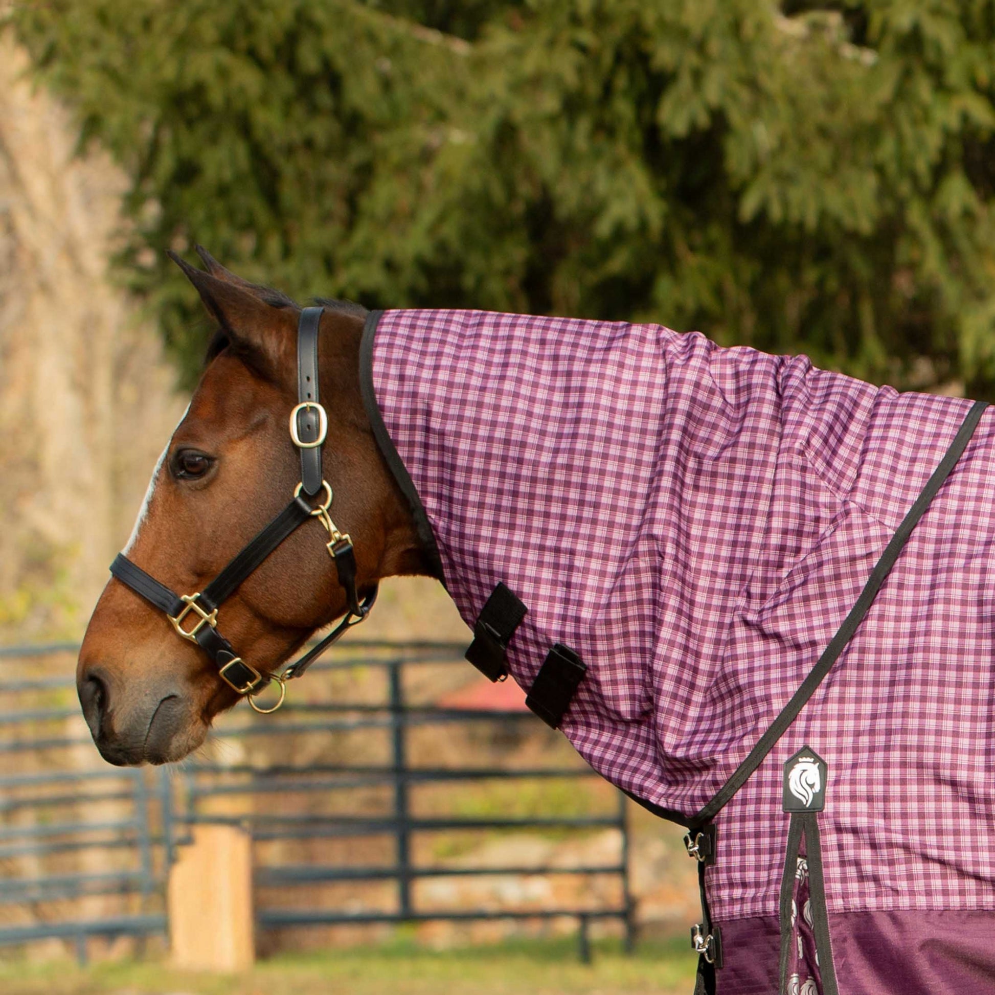Equinavia Norse Turnout Neck Cover 200g