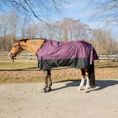 Equinavia Thunder 360 Detachable Neck Turnout Sheet