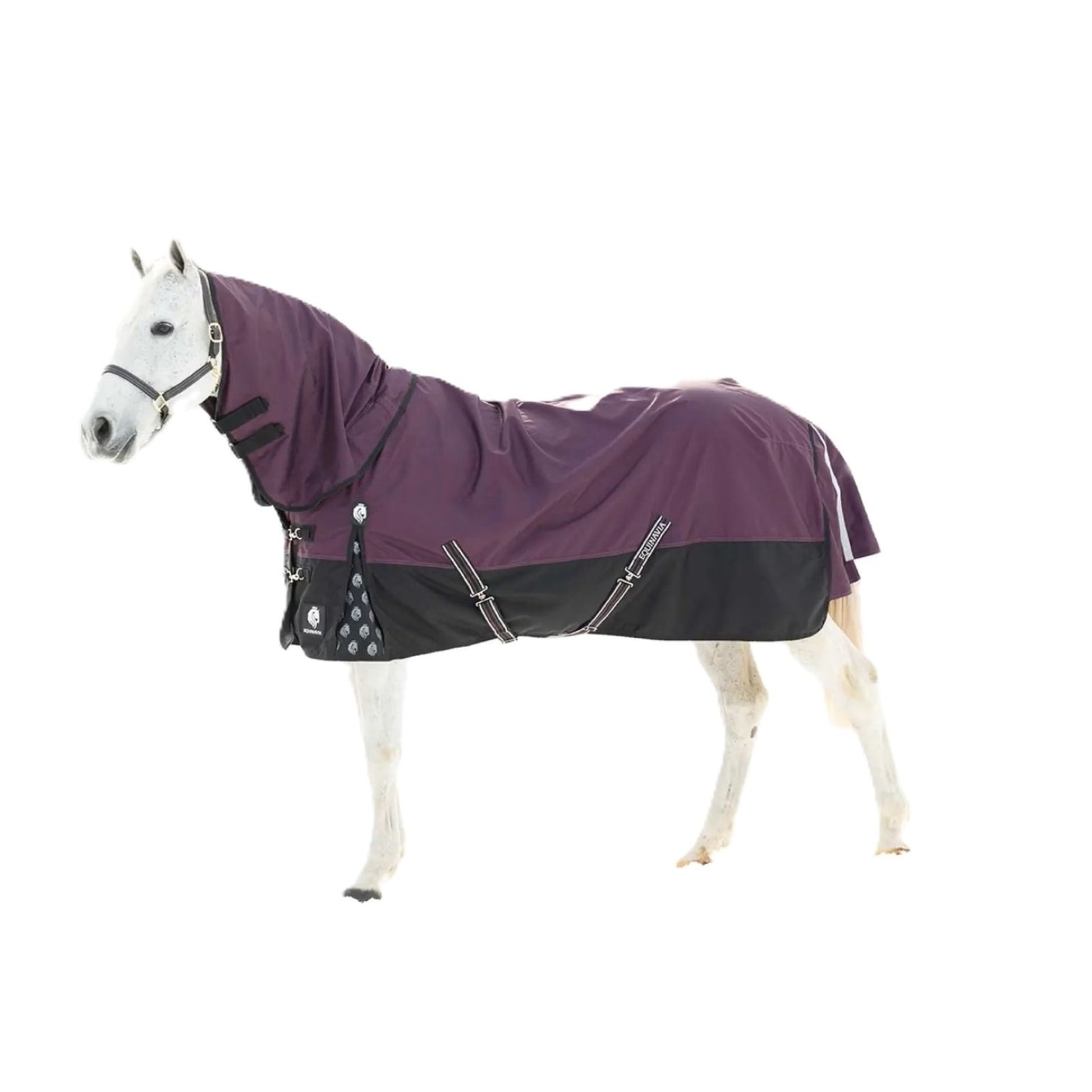 Equinavia Thunder 360 Detachable Neck Turnout Sheet