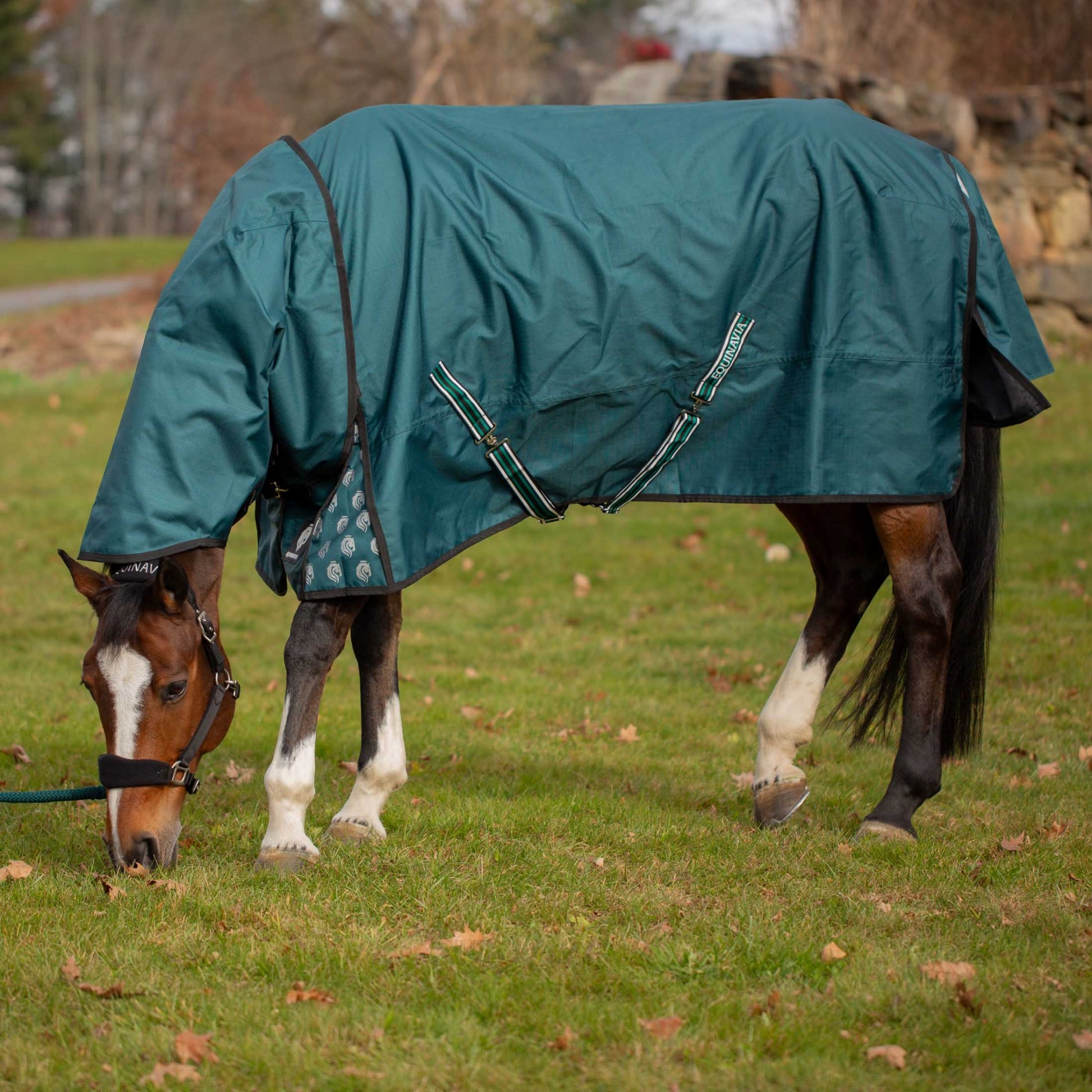 Equinavia Arktis Regular Neck Mid Weight Turnout Blanket 200g