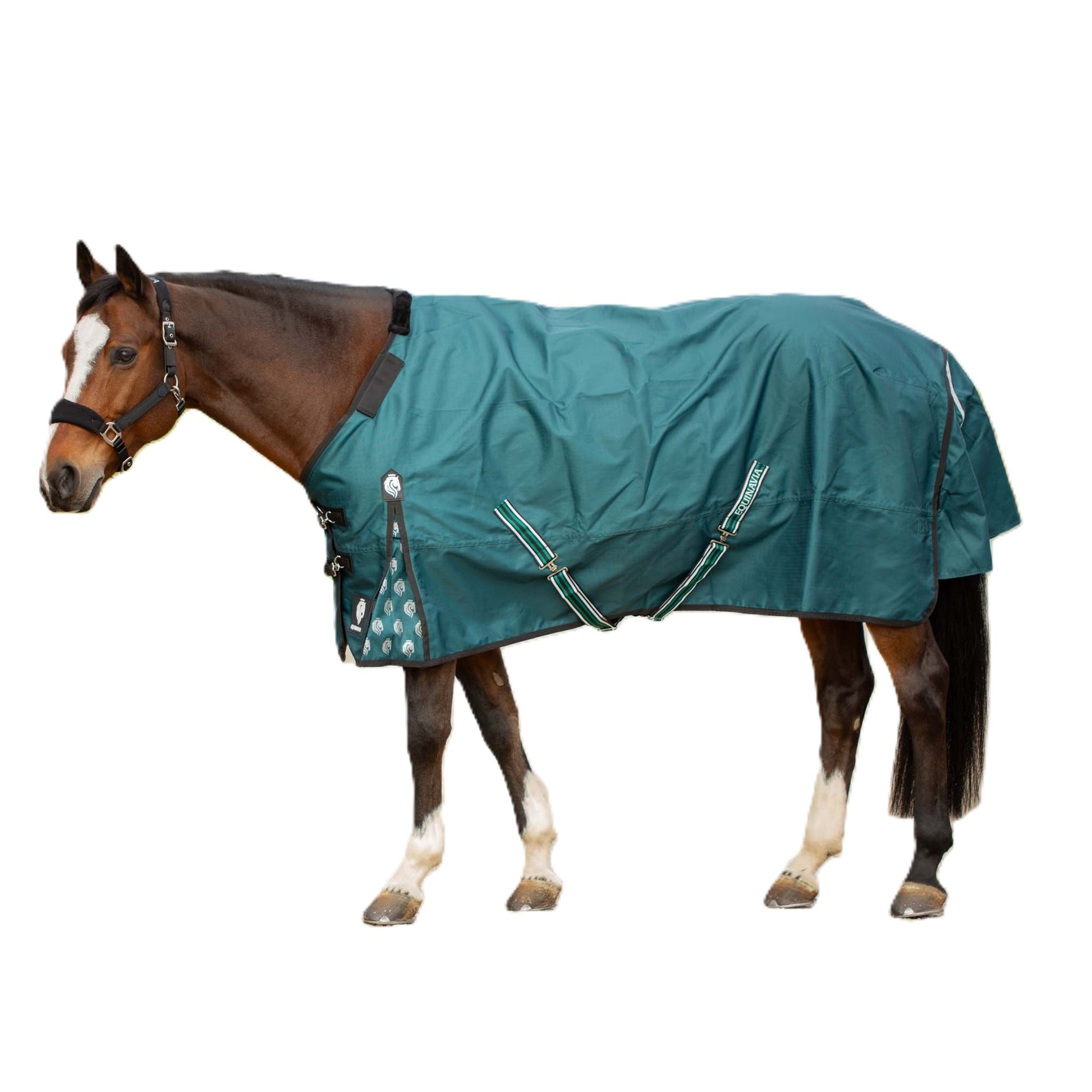 Equinavia Arktis Regular Neck Mid Weight Turnout Blanket 200g