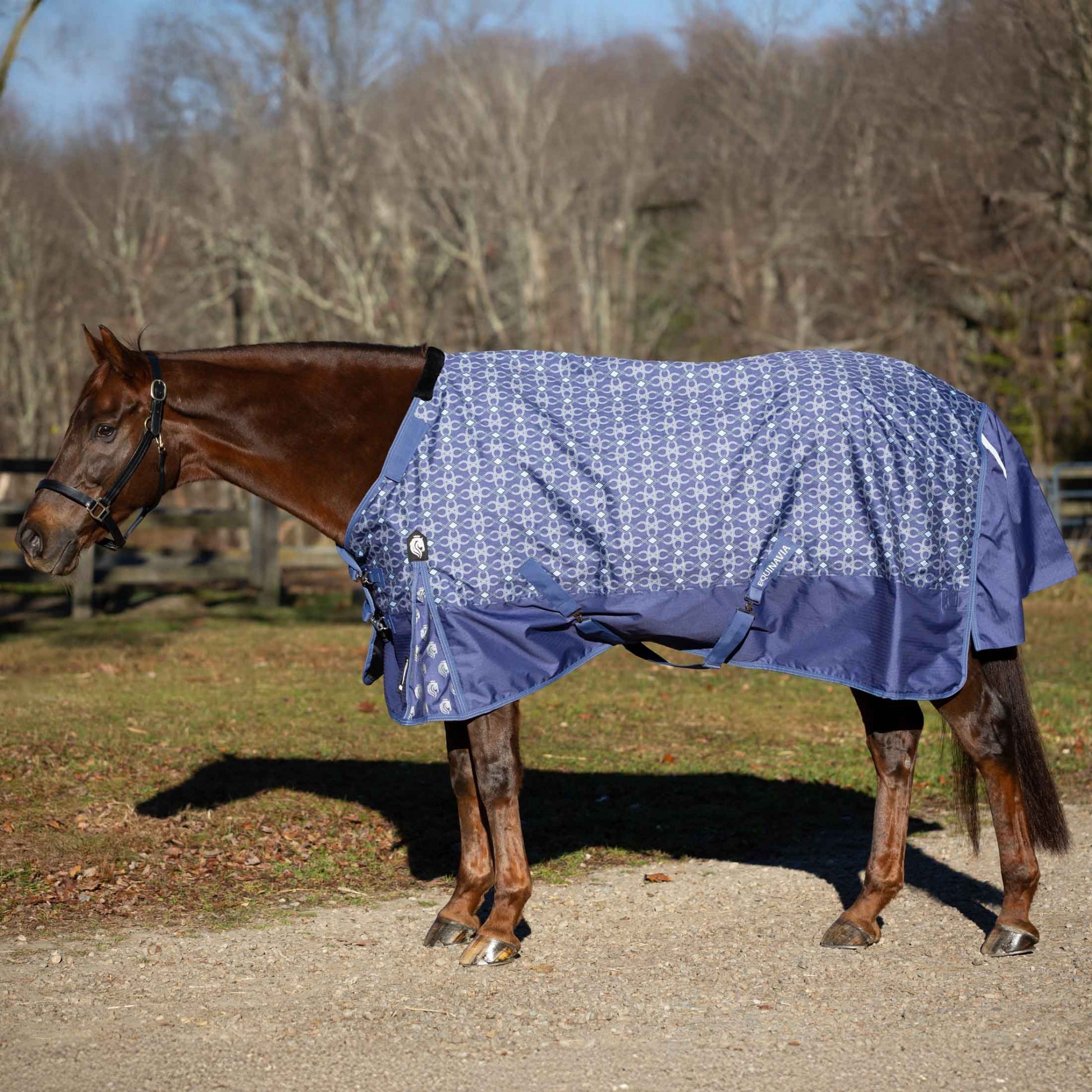 Equinavia Arktis Regular Neck Mid Weight Turnout Blanket 200g