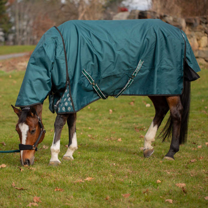 Equinavia Arktis TO Blanket 100g